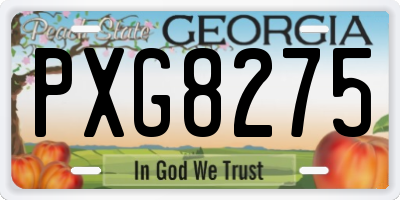 GA license plate PXG8275