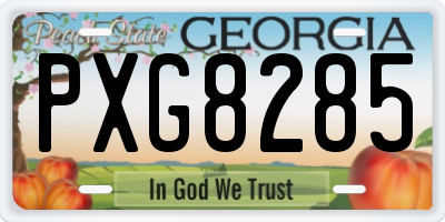 GA license plate PXG8285