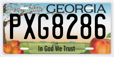 GA license plate PXG8286
