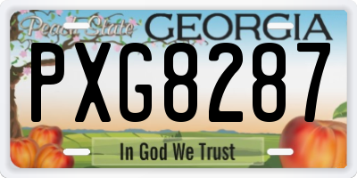 GA license plate PXG8287