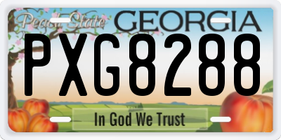 GA license plate PXG8288