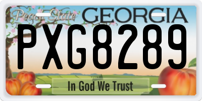 GA license plate PXG8289