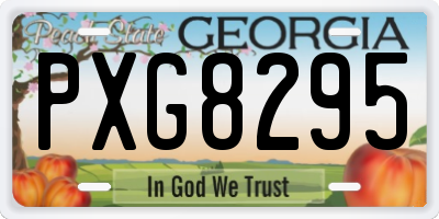 GA license plate PXG8295