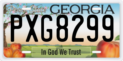 GA license plate PXG8299