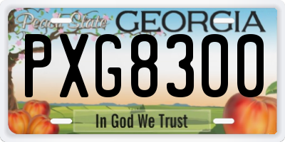 GA license plate PXG8300