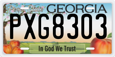 GA license plate PXG8303