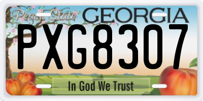 GA license plate PXG8307