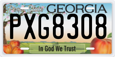 GA license plate PXG8308