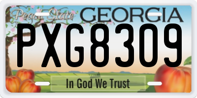 GA license plate PXG8309