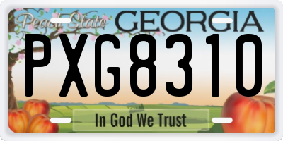 GA license plate PXG8310