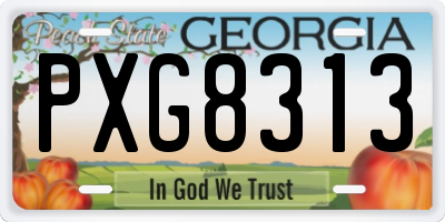 GA license plate PXG8313