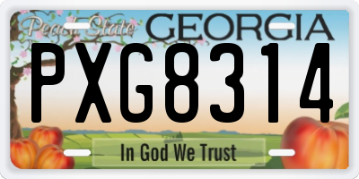 GA license plate PXG8314