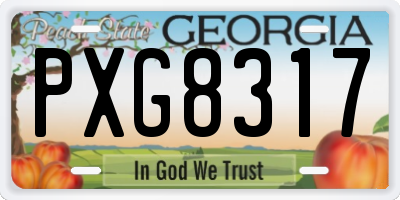 GA license plate PXG8317