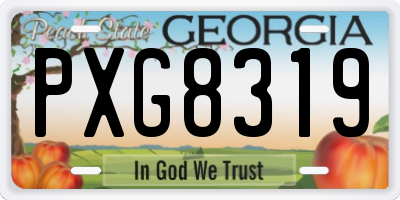 GA license plate PXG8319