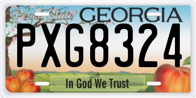 GA license plate PXG8324