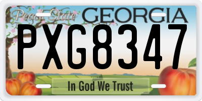 GA license plate PXG8347
