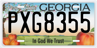 GA license plate PXG8355