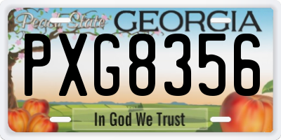 GA license plate PXG8356