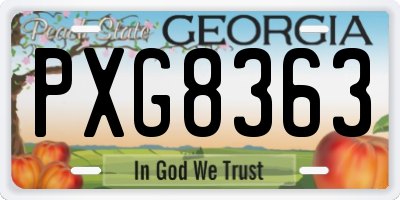 GA license plate PXG8363