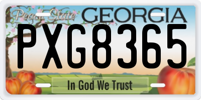 GA license plate PXG8365
