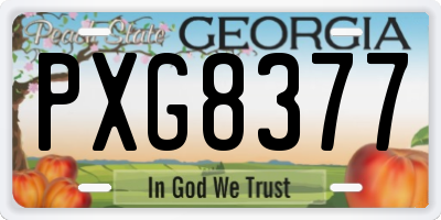 GA license plate PXG8377