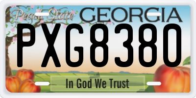 GA license plate PXG8380