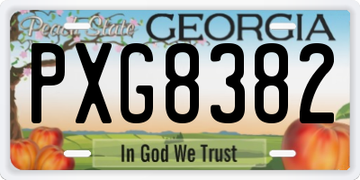 GA license plate PXG8382