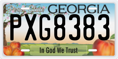 GA license plate PXG8383
