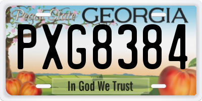 GA license plate PXG8384