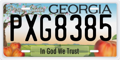 GA license plate PXG8385