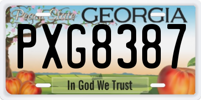 GA license plate PXG8387