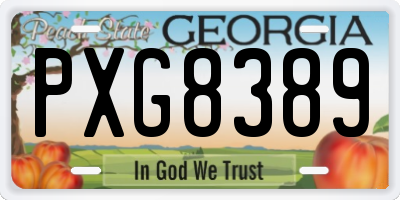 GA license plate PXG8389