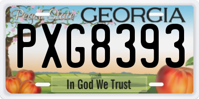 GA license plate PXG8393