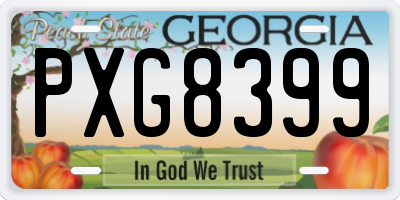 GA license plate PXG8399