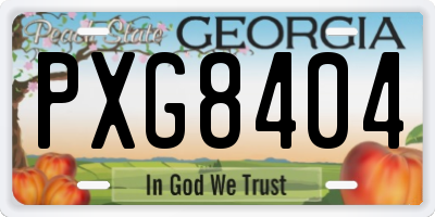 GA license plate PXG8404