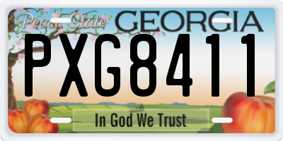 GA license plate PXG8411