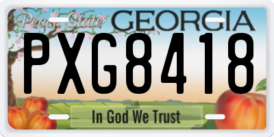 GA license plate PXG8418