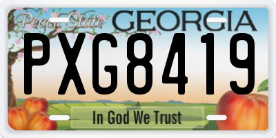 GA license plate PXG8419