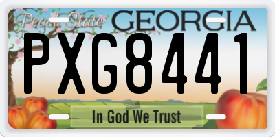 GA license plate PXG8441