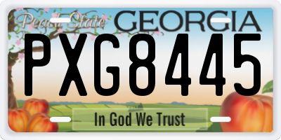 GA license plate PXG8445