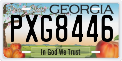 GA license plate PXG8446