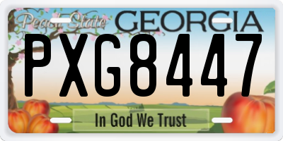 GA license plate PXG8447
