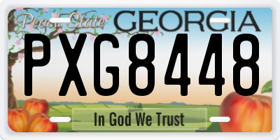 GA license plate PXG8448