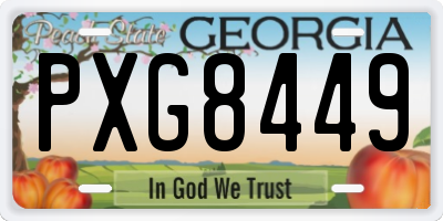 GA license plate PXG8449