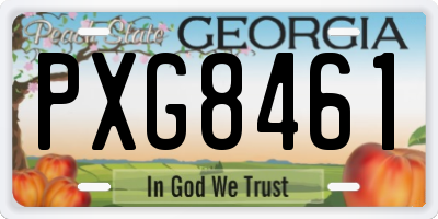 GA license plate PXG8461
