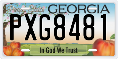 GA license plate PXG8481