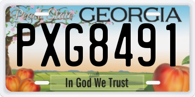 GA license plate PXG8491