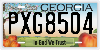 GA license plate PXG8504
