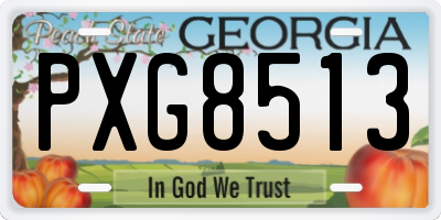 GA license plate PXG8513