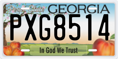 GA license plate PXG8514